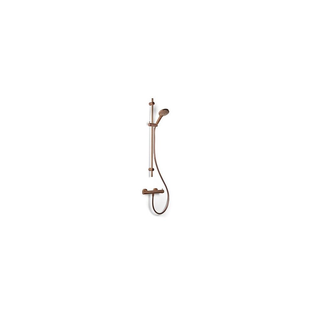 blue label BLUE LABEL termostatblandare inkl. 90 cm handduschset med 3...