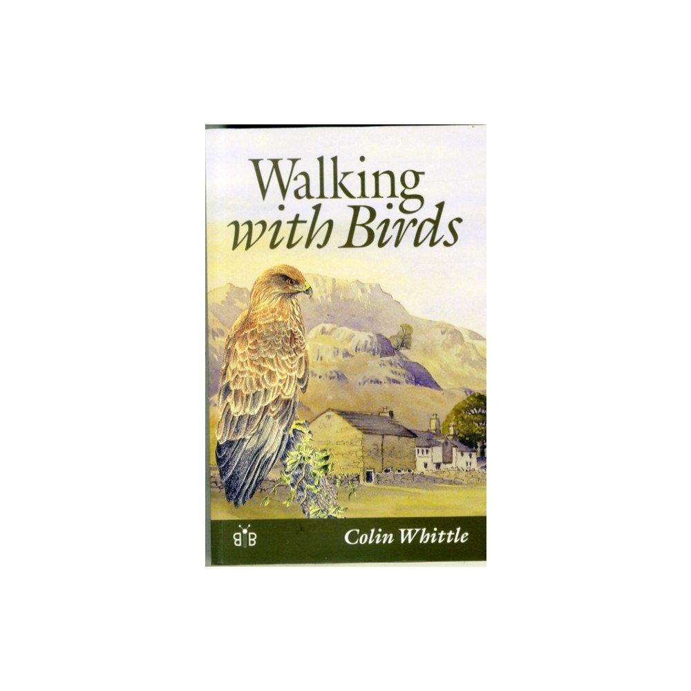 Brambleby Books Walking with Birds (häftad, eng)