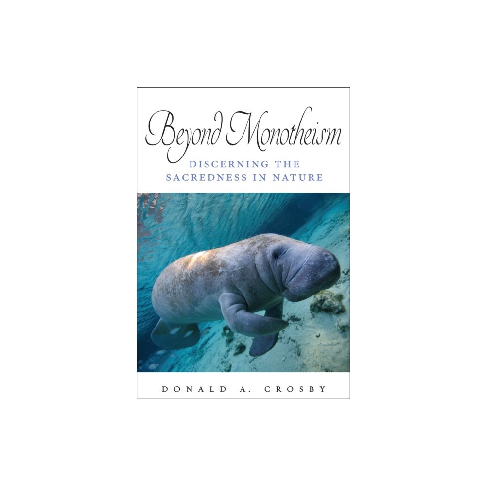 State University of New York Press Beyond Monotheism (häftad, eng)