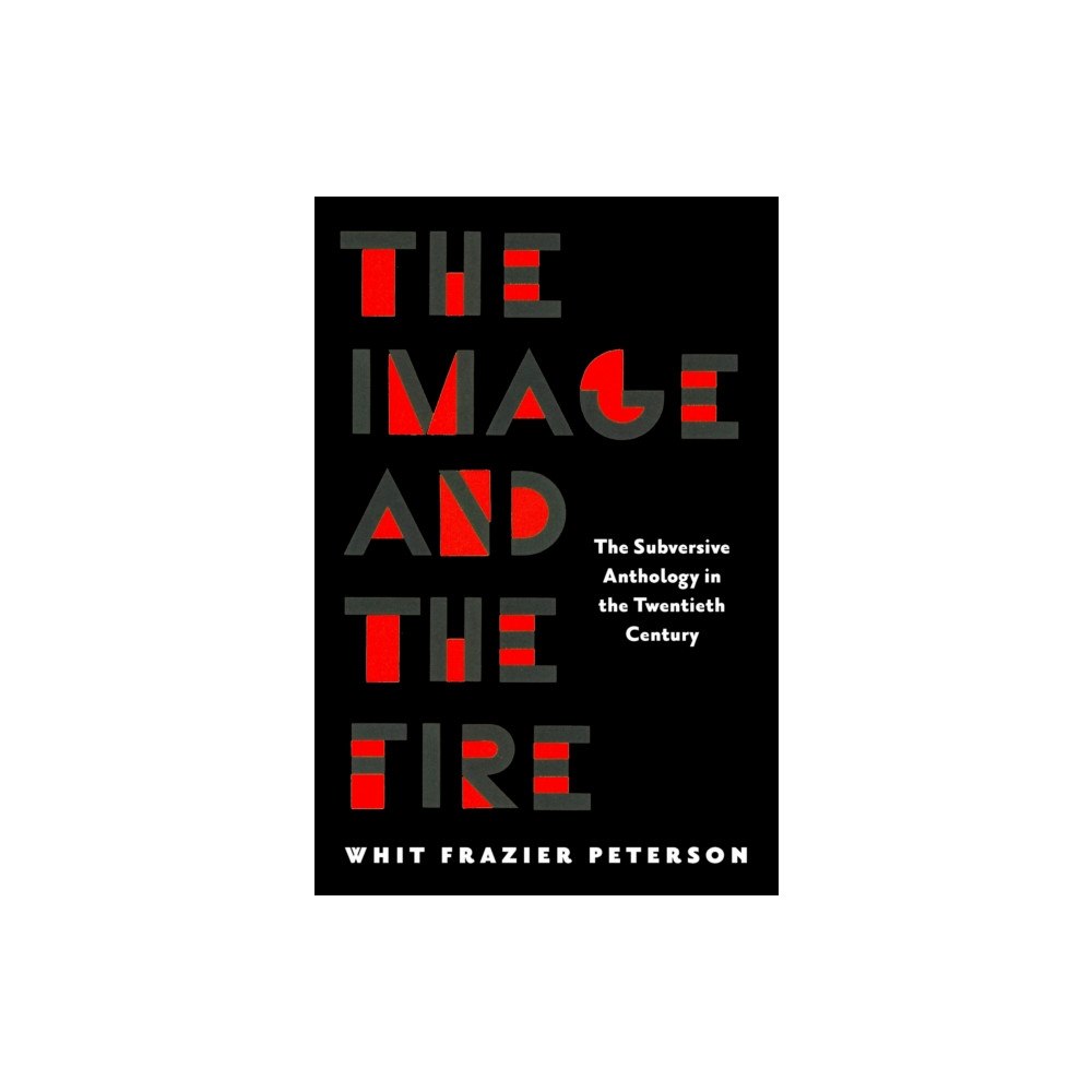 University of Massachusetts Press The Image and the Fire (häftad, eng)