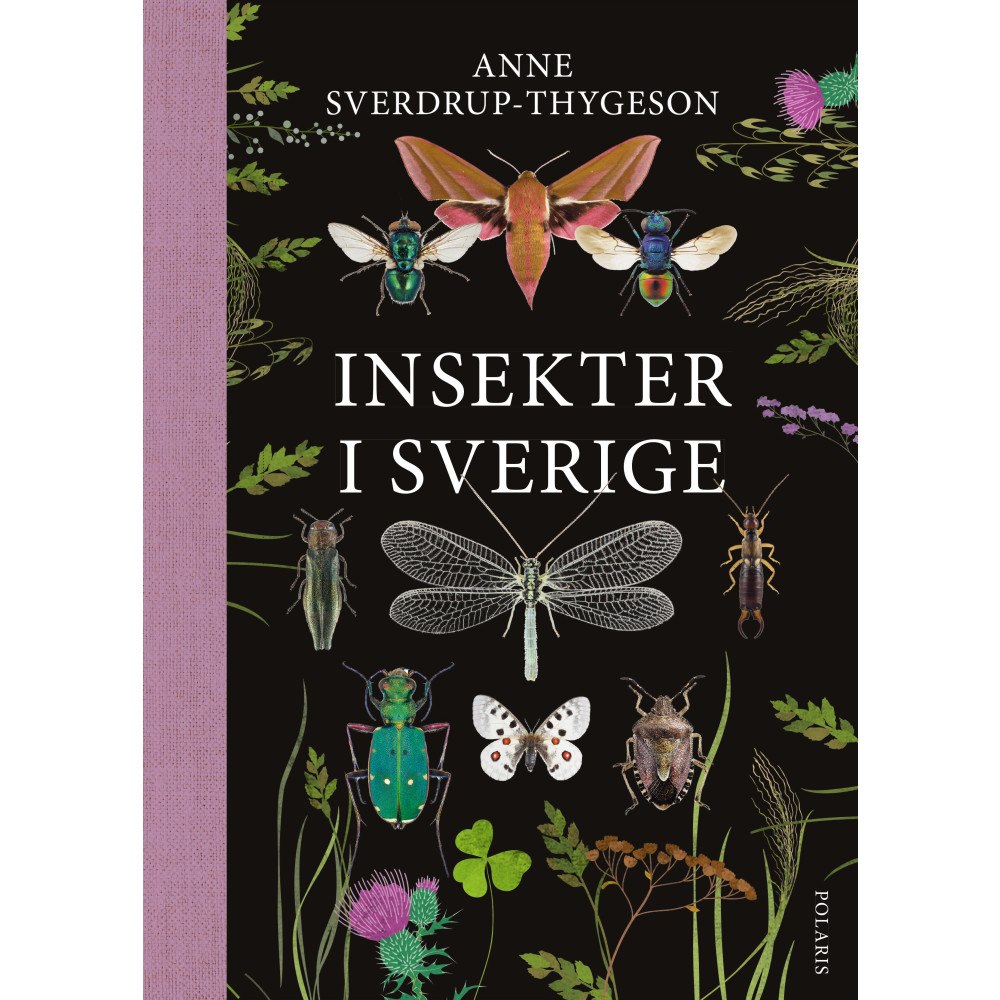 Anne Sverdrup-Thygeson Insekter i Sverige (bok, flexband)