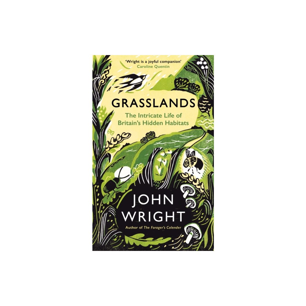 Profile Books Ltd Grasslands (inbunden, eng)
