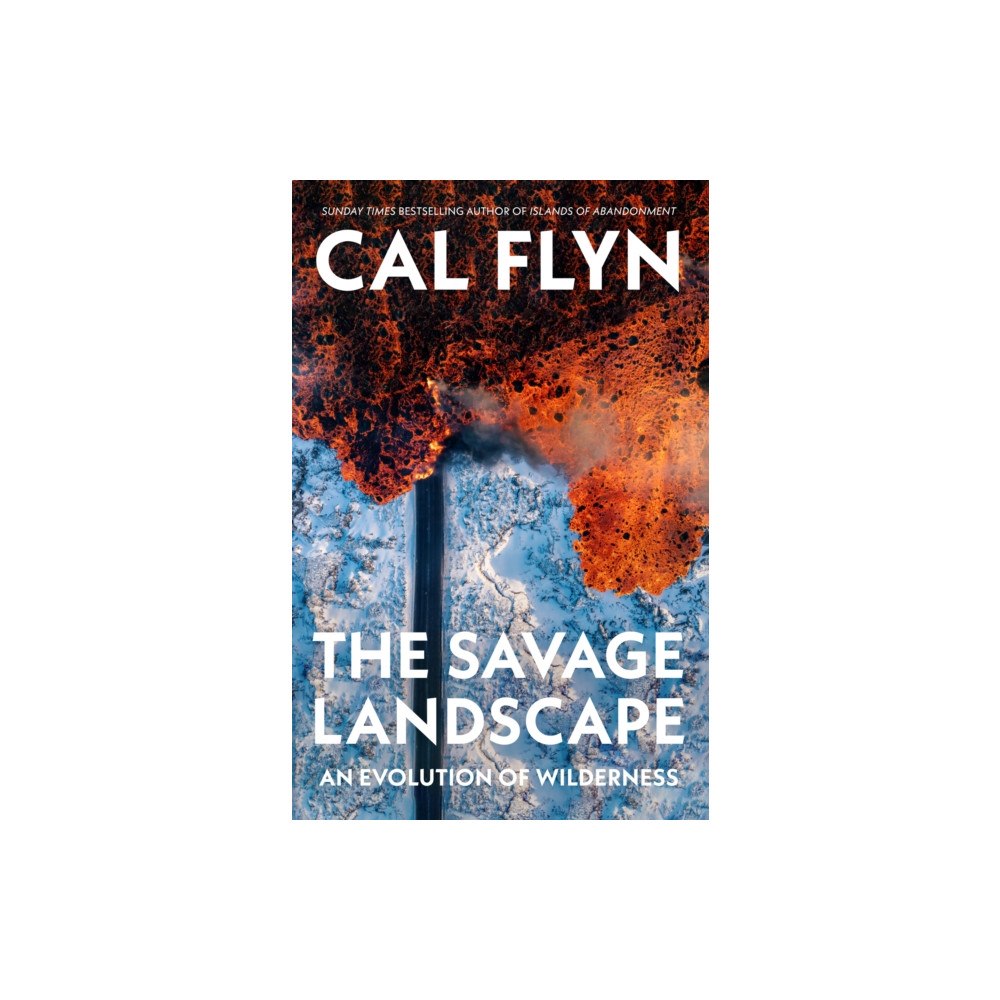 HarperCollins Publishers The Savage Landscape (häftad, eng)