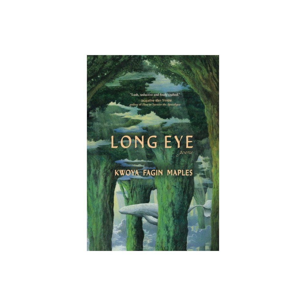 Hub City Press Long Eye (häftad, eng)