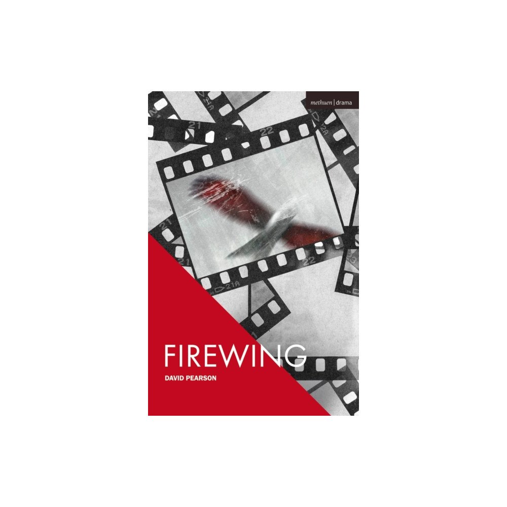 Bloomsbury Publishing PLC Firewing (häftad, eng)