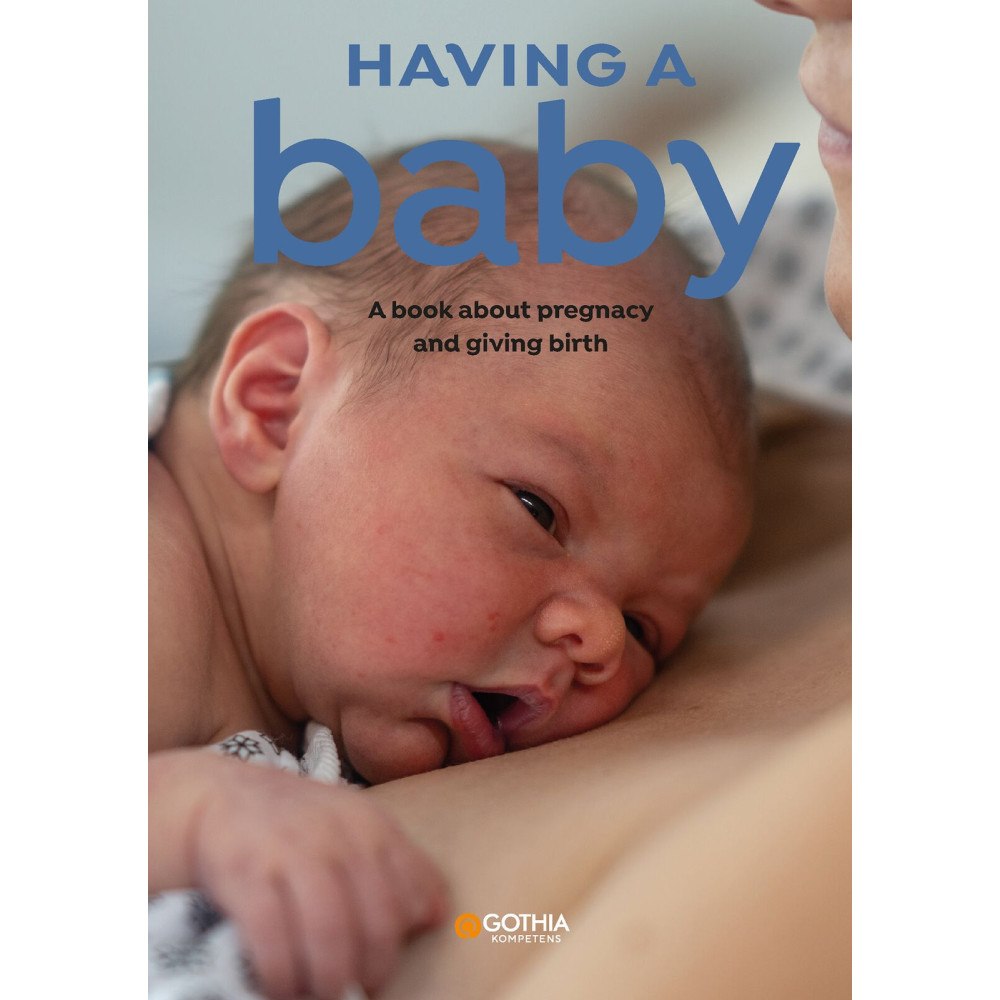 Hanne Fjellvang Having a baby : a book about pregnancy and giving birth (häftad, eng)