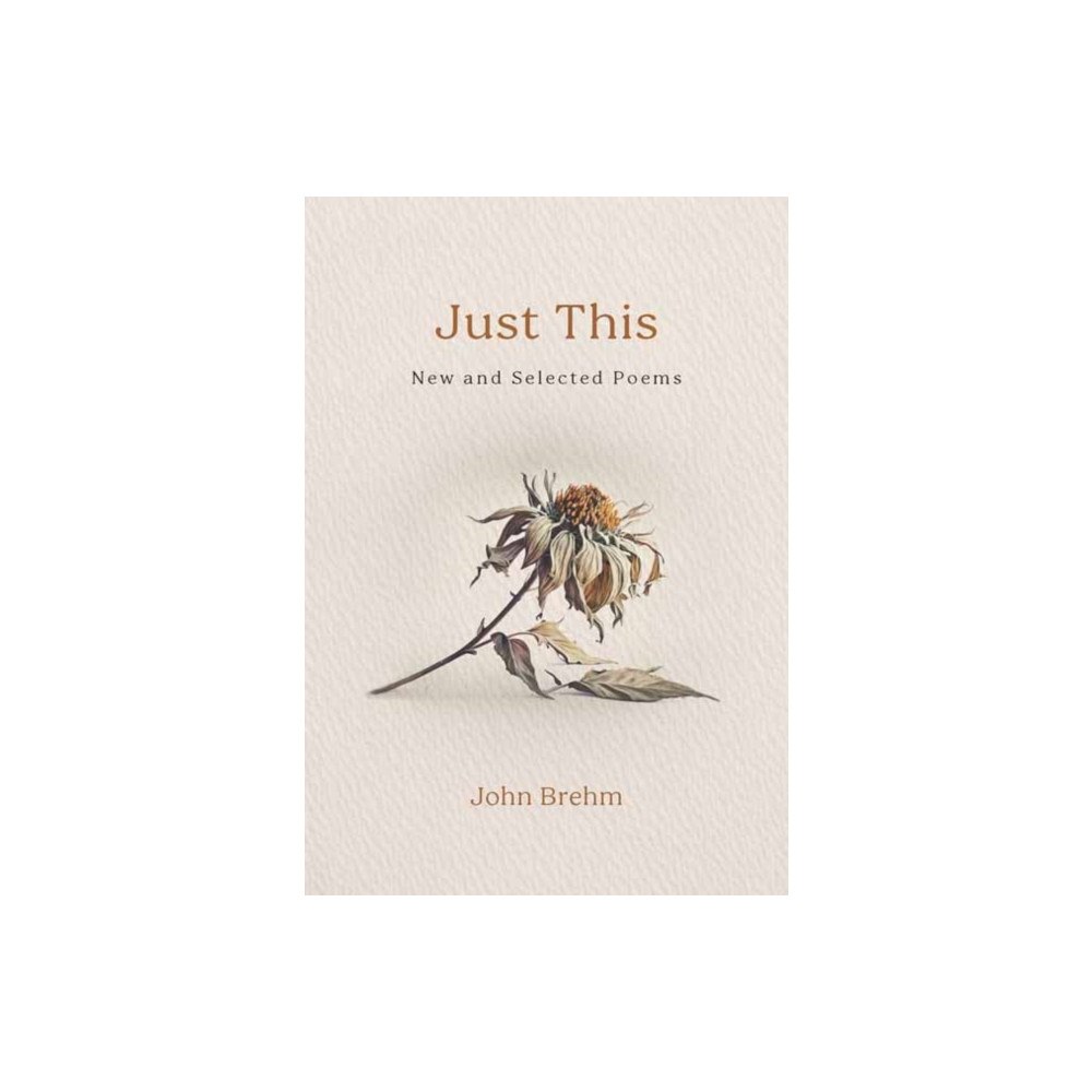 Wisdom publications,u.s. Just This (häftad, eng)