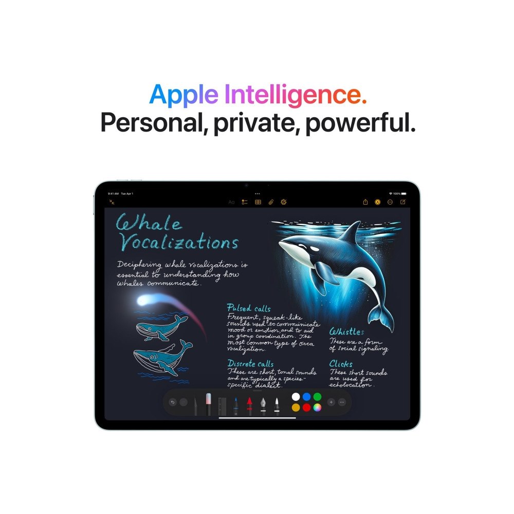 Apple Apple 13-inch iPad Air M3 Wi-Fi + Cellular