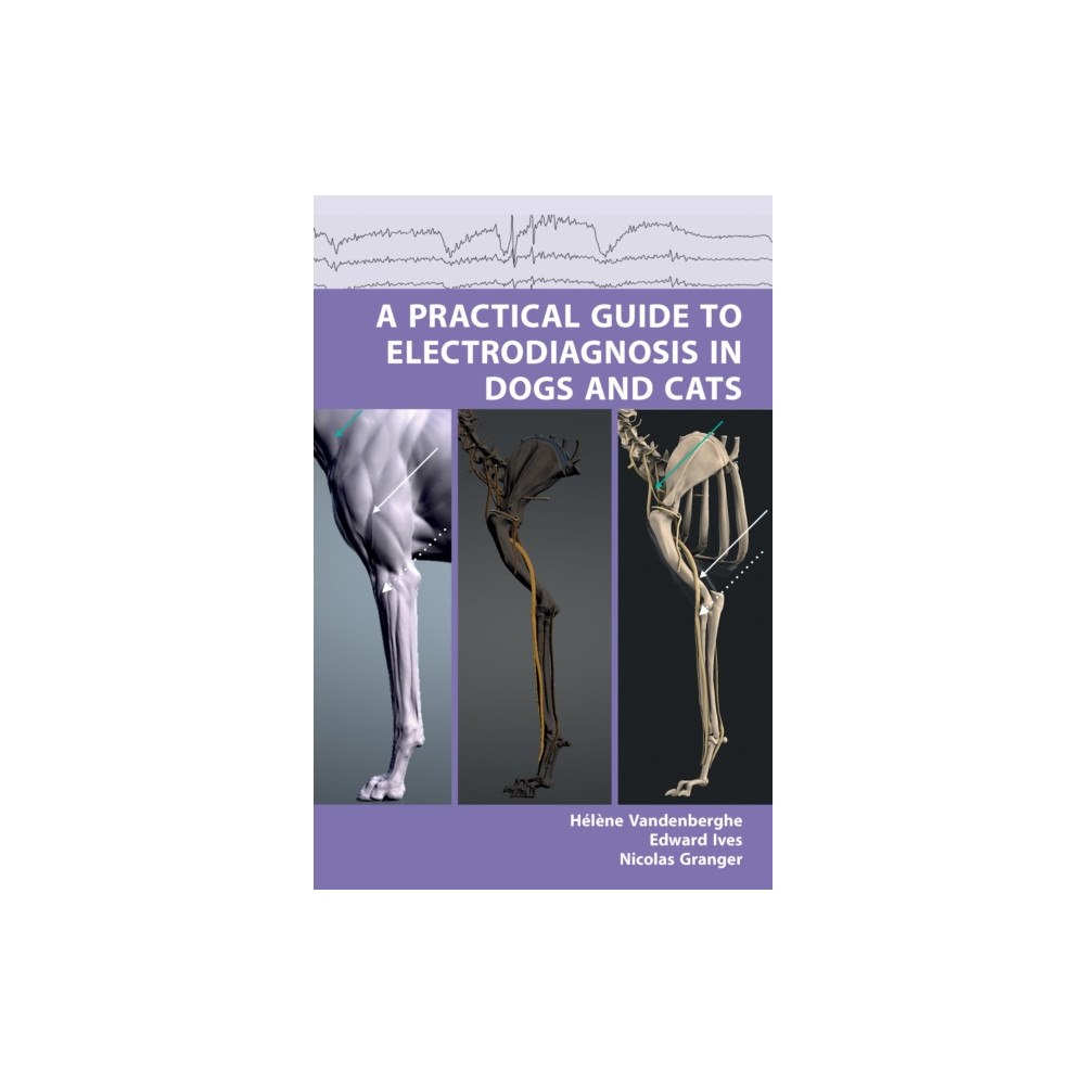 Libri Publishing A Practical Guide to Electrodiagnosis in Dogs and Cats (häftad, eng)