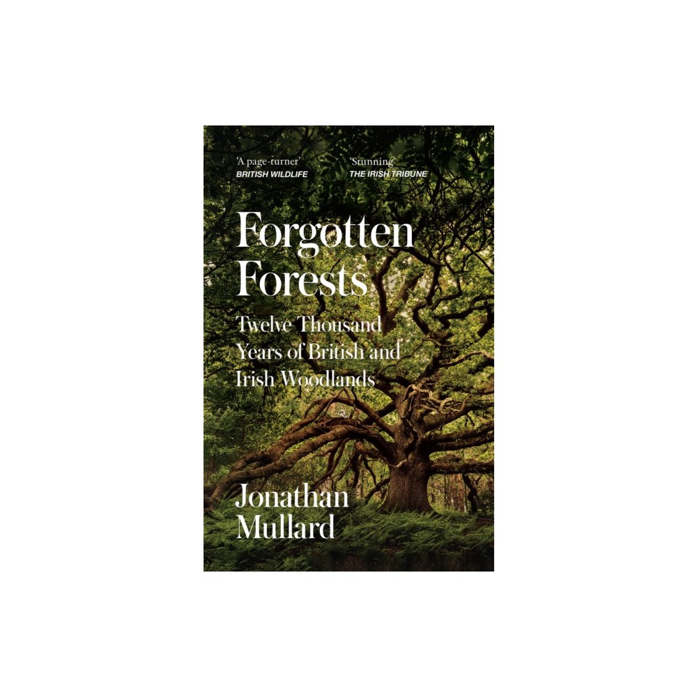 HarperCollins Publishers Forgotten Forests (häftad, eng)