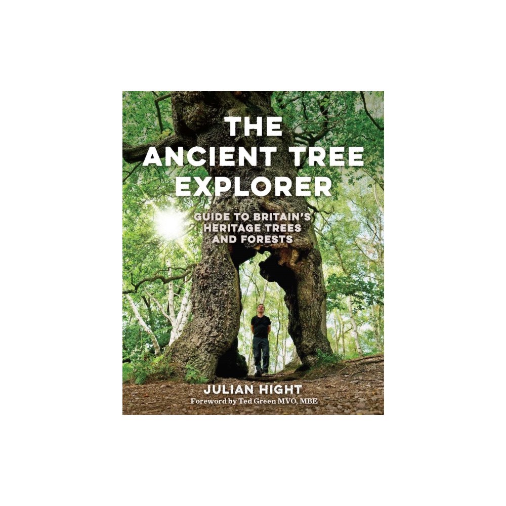 Wild Things Publishing Ltd The Ancient Tree Explorer (häftad, eng)