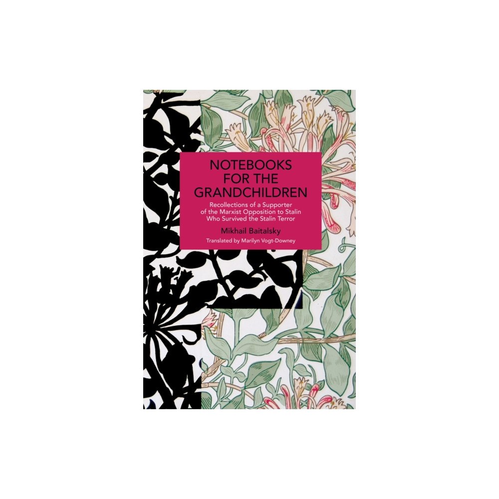 Haymarket Books Notebooks for the Grandchildren (häftad, eng)