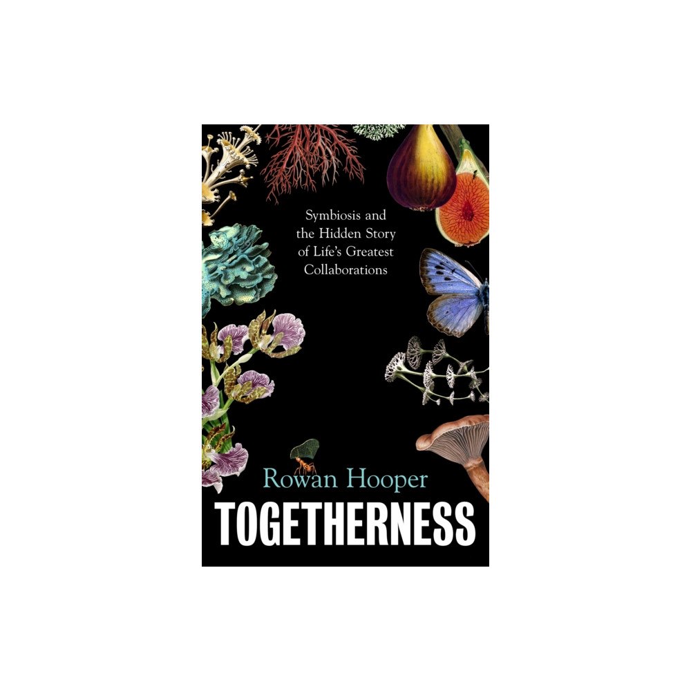 Vintage Publishing Togetherness (inbunden, eng)