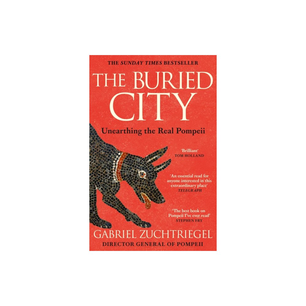 Hodder & Stoughton The Buried City (häftad, eng)