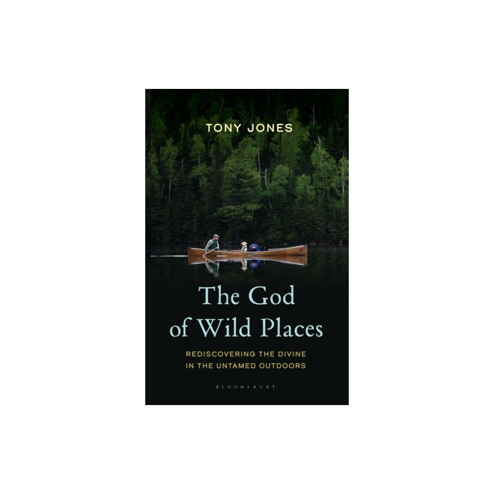 Bloomsbury Publishing PLC The God of Wild Places (häftad, eng)