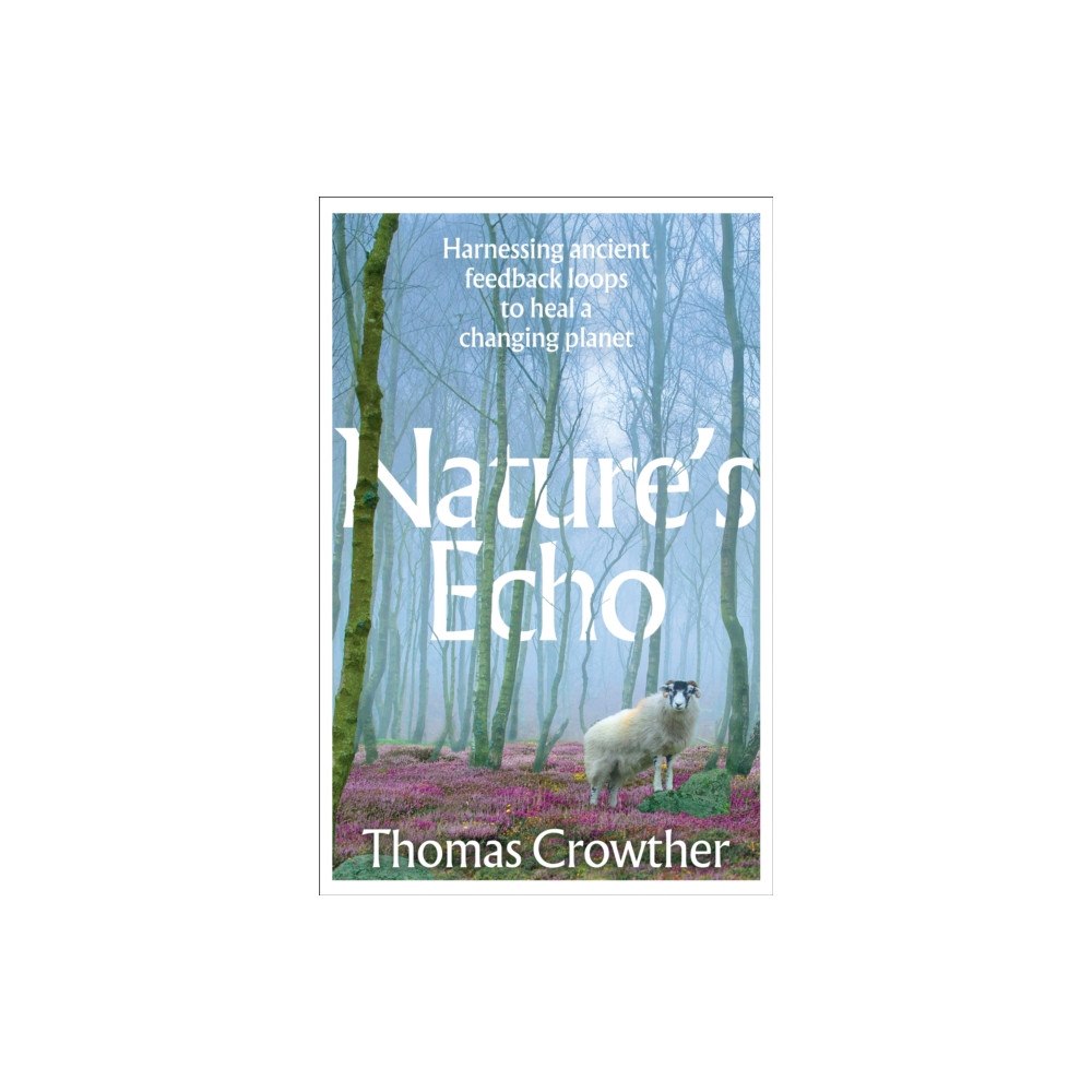 Transworld Nature's Echo (häftad, eng)