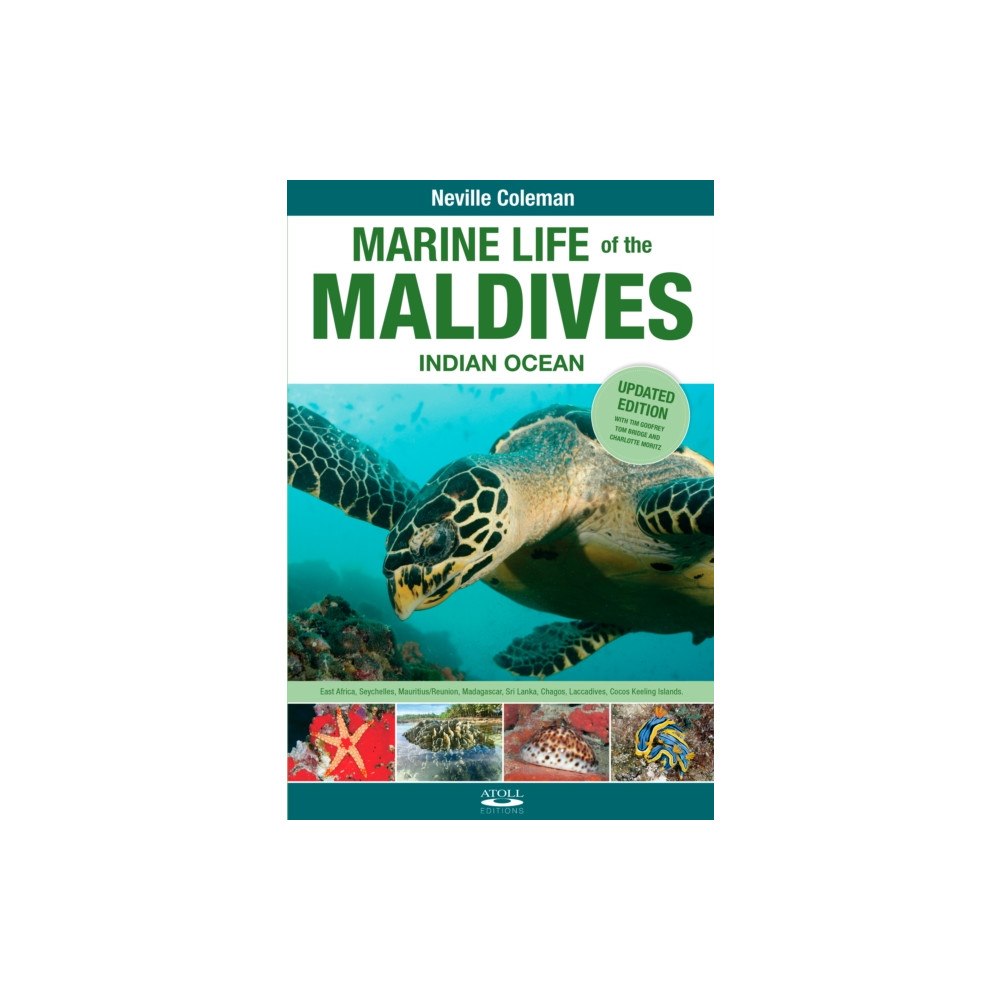 Atoll Editions Marine Life of the Maldives - Indian Ocean (häftad, eng)