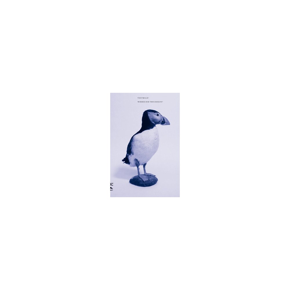 Joakim Norling Where did this begin? : Testbild! (häftad)