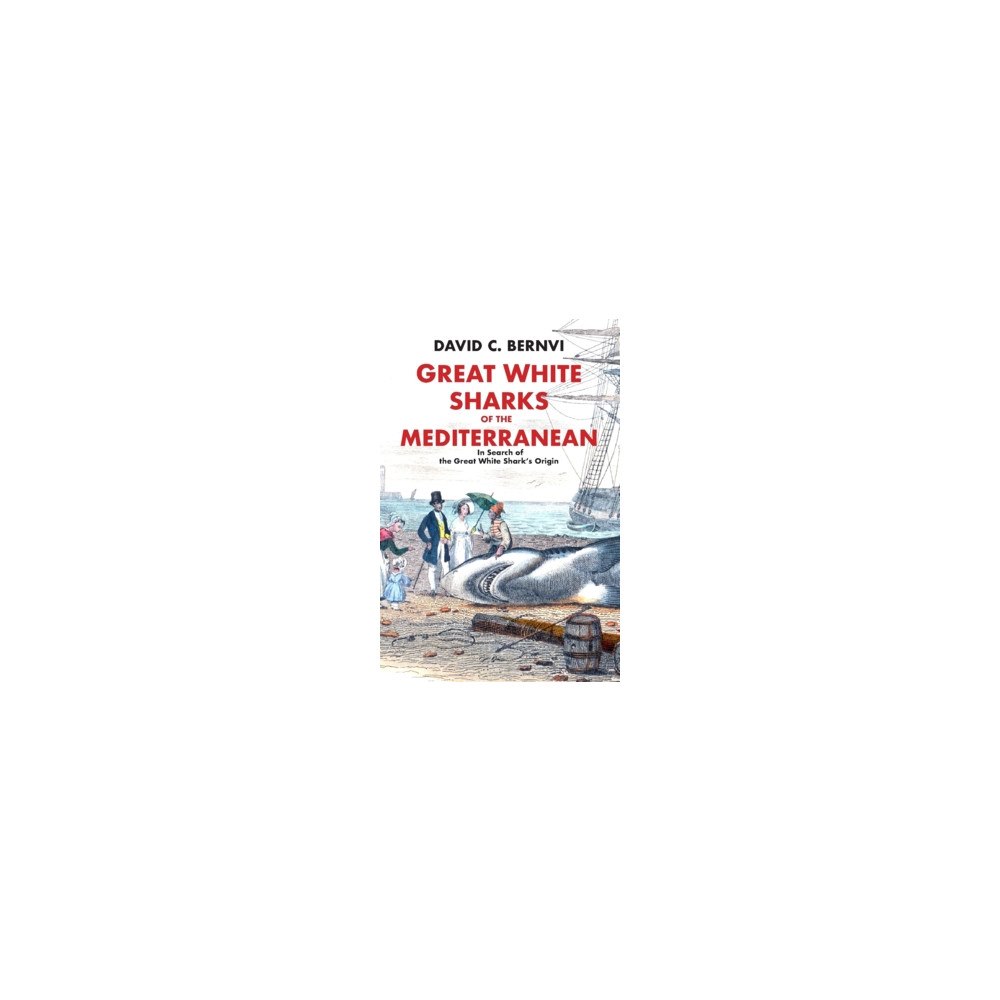 David C. Bernvi Great white sharks of the Mediterranean : in search of the great white shark's origin (inbunden, eng)