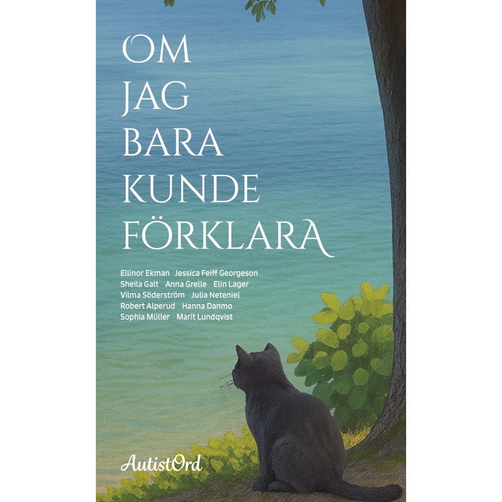 Vilma Söderström Om jag bara kunde förklara (häftad)