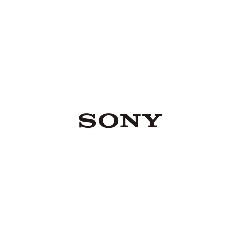 Sony Sony 149300413, TV, 100