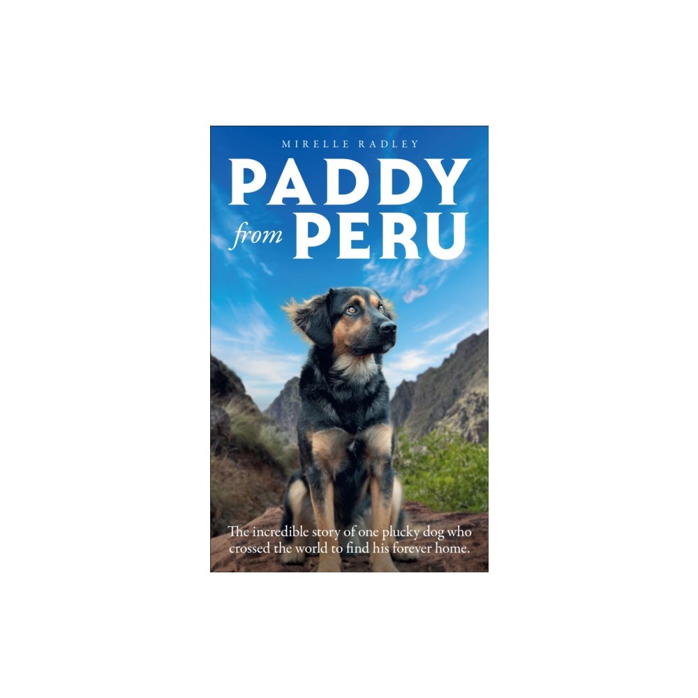 HarperCollins Publishers Paddy from Peru (häftad, eng)