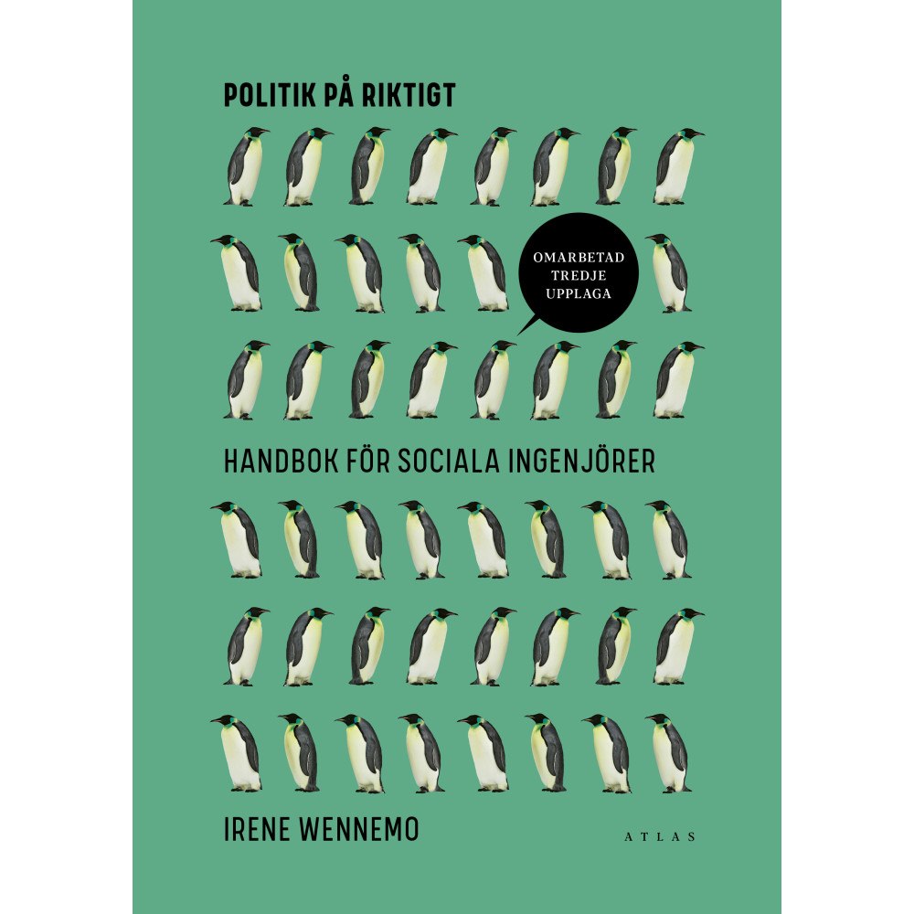 Irene Wennemo Politik på riktigt (tredje upplagan) (bok, danskt band)