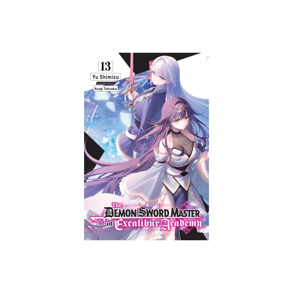 Little, Brown & Company The Demon Sword Master of Excalibur Academy, Vol. 13 (light novel) (häftad, eng)