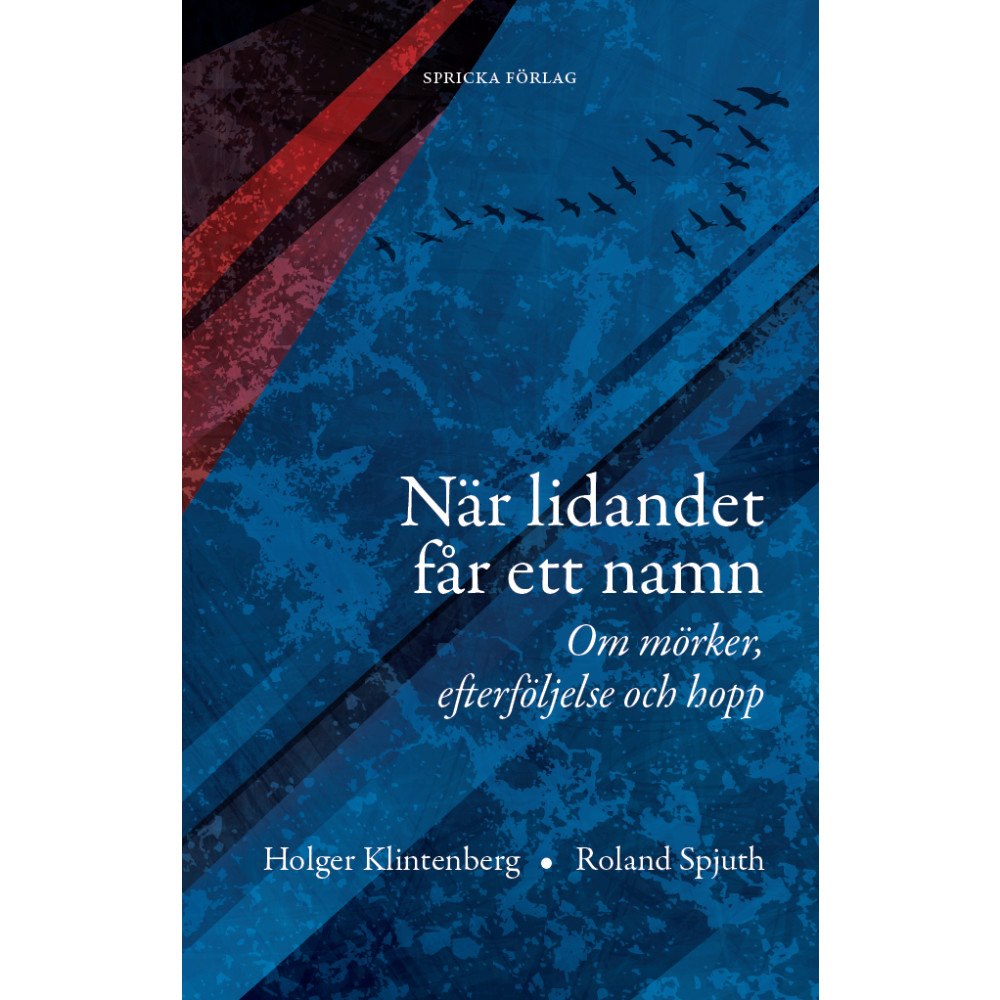 Holger Klintenberg När lidandet får ett namn: Om mörker, efterföljelse och hopp (häftad)