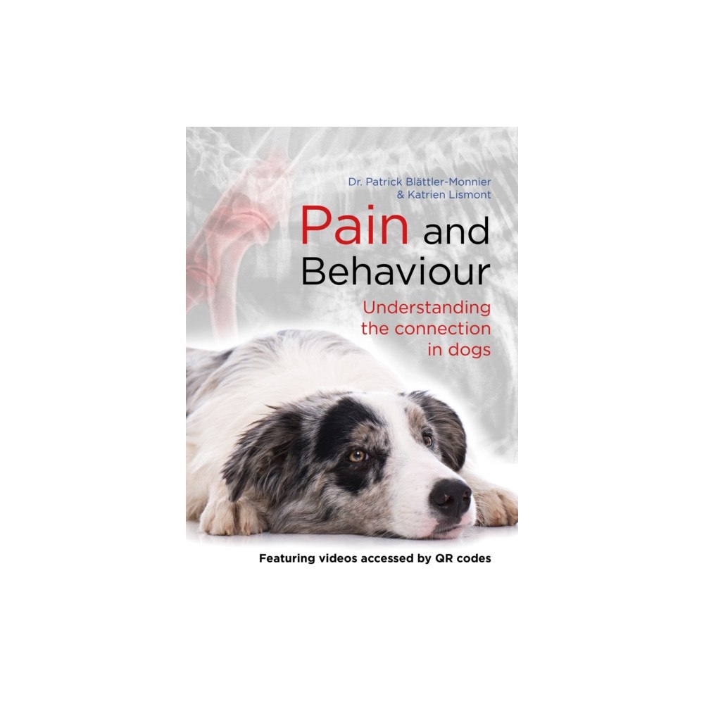 First Stone Publishing Pain and Behaviour (häftad, eng)