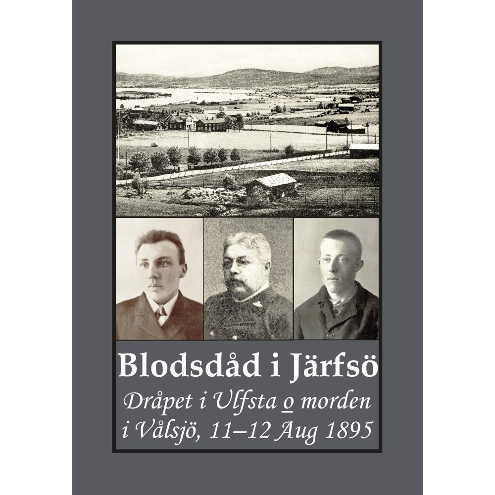 Gunnar Bergman Blodsdåd i Järfsö : Dråpet i Ulfsta o morden i Vålsjö, 11–12 Aug 1895 (häftad)