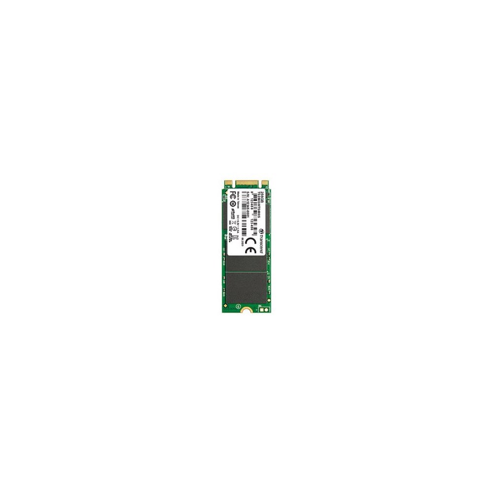 Transcend Information Transcend MTS600S - SSD - 64 GB - SATA 6Gb/s
