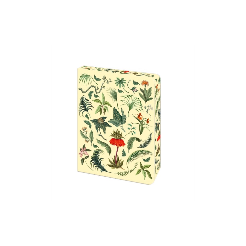 Arcturus publishing ltd The Fern Journal (häftad, eng)