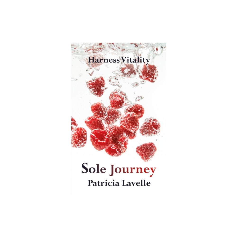 Troubador Publishing Sole Journey (häftad, eng)
