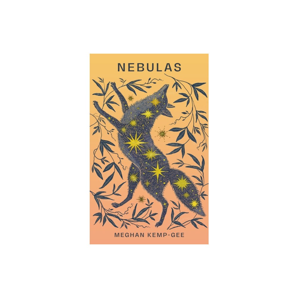 Coach House Books Nebulas (häftad, eng)