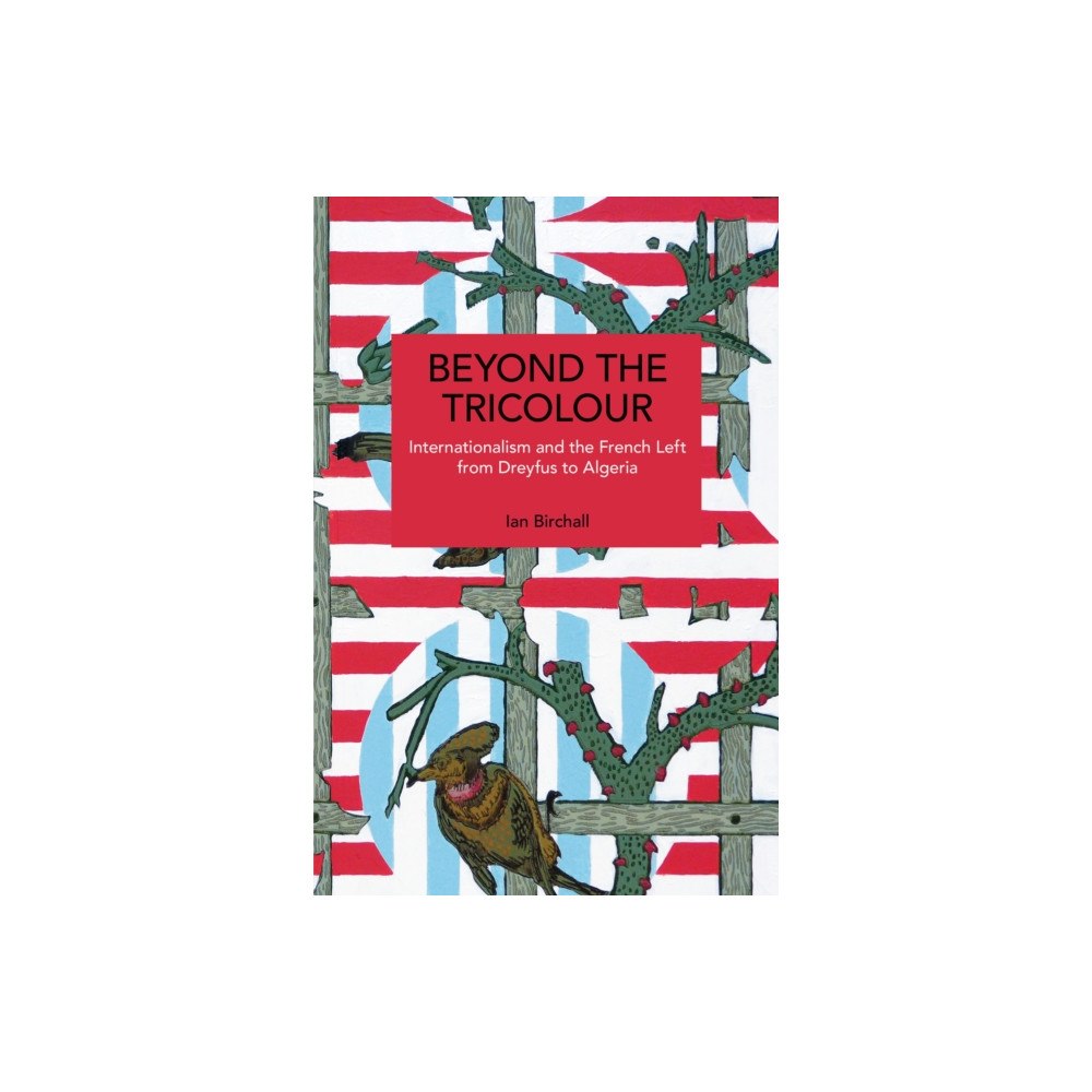 Haymarket Books Beyond the Tricolour (häftad, eng)
