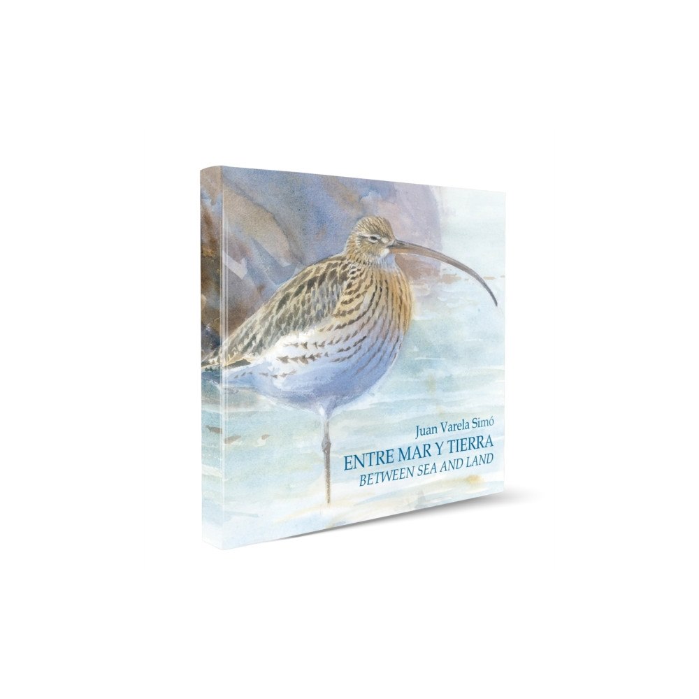 Alada Books, S.L. Between Sea and Land / Entre Mar y Tierra (inbunden, eng)