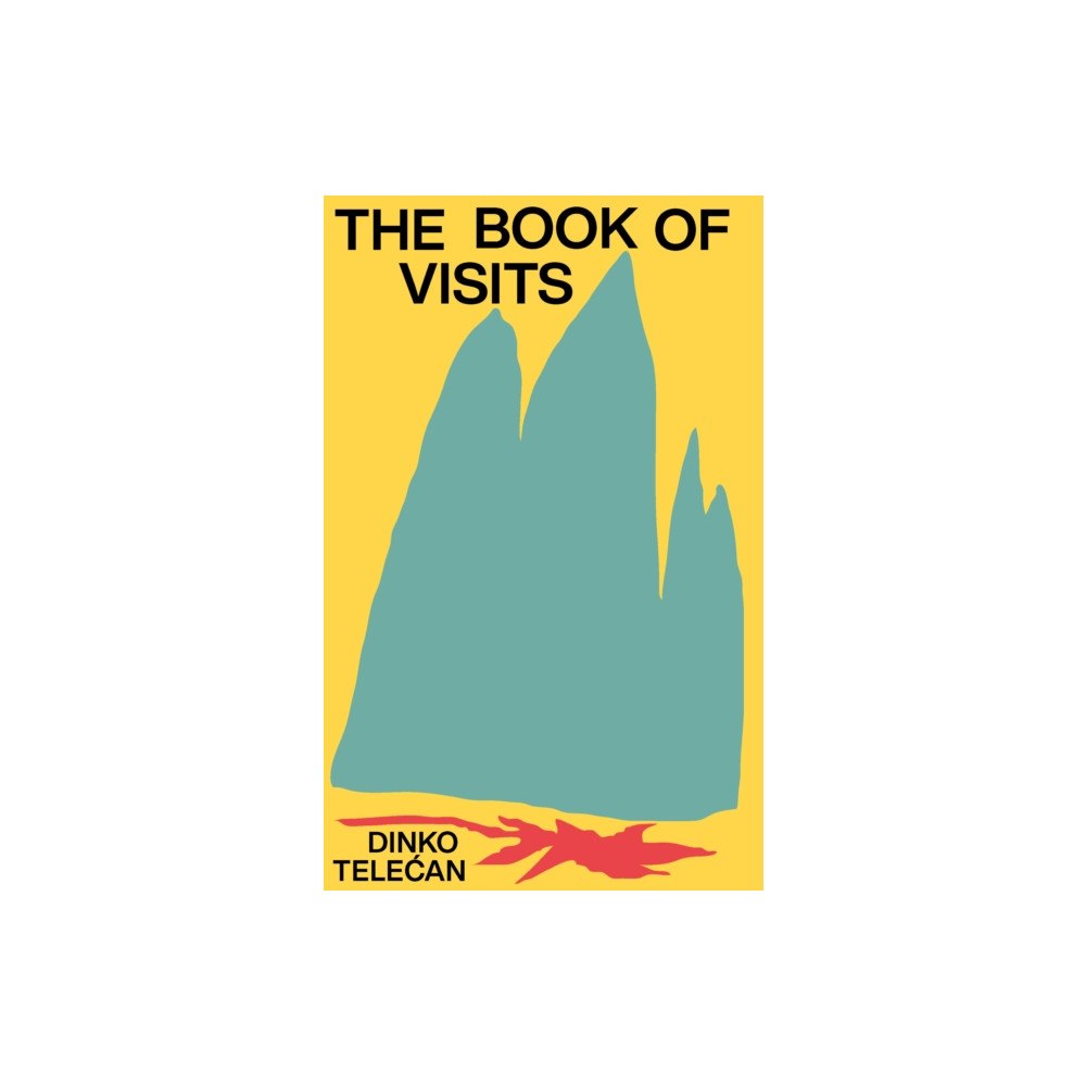 Sandorf Passage The Book of Visits (inbunden, eng)