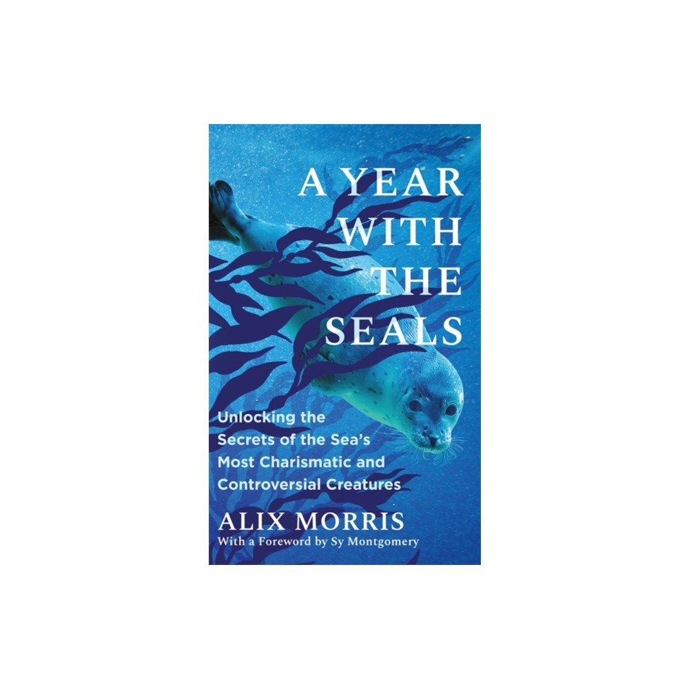 Bonnier Books Ltd A Year with the Seals (häftad, eng)