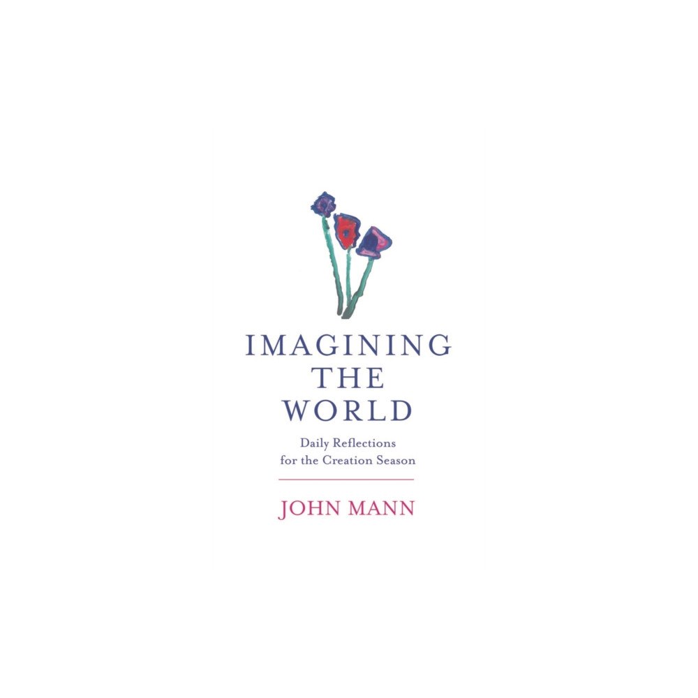 Darton, Longman & Todd Ltd Imagining The World (inbunden, eng)