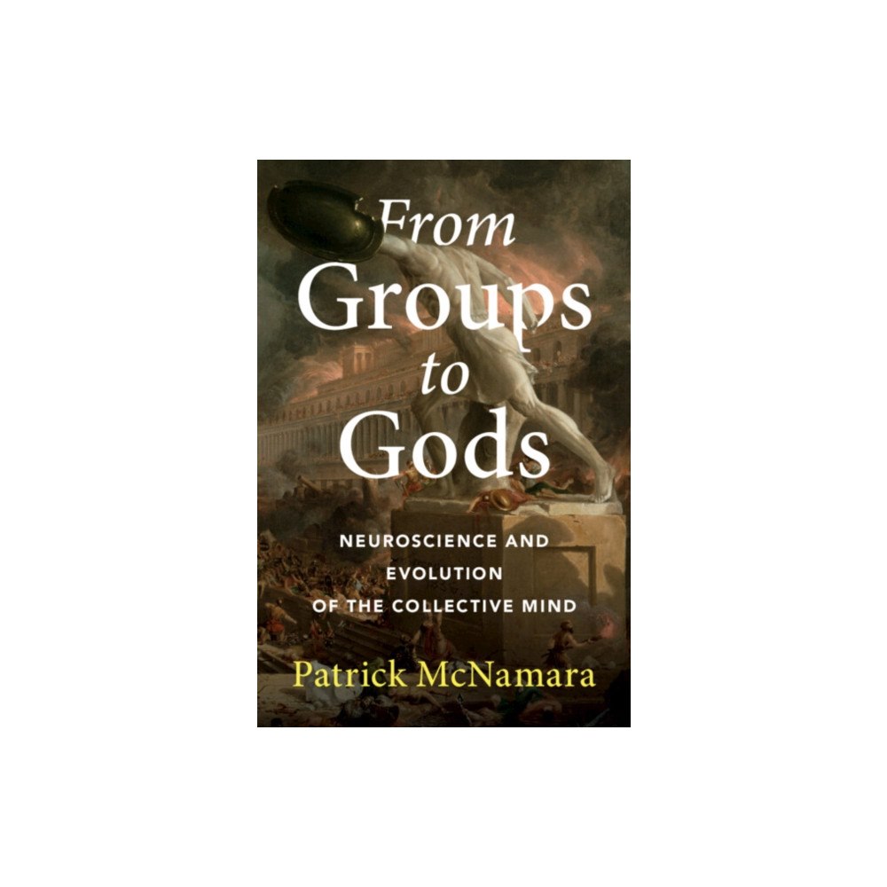 Cambridge University Press From Groups to Gods (häftad, eng)