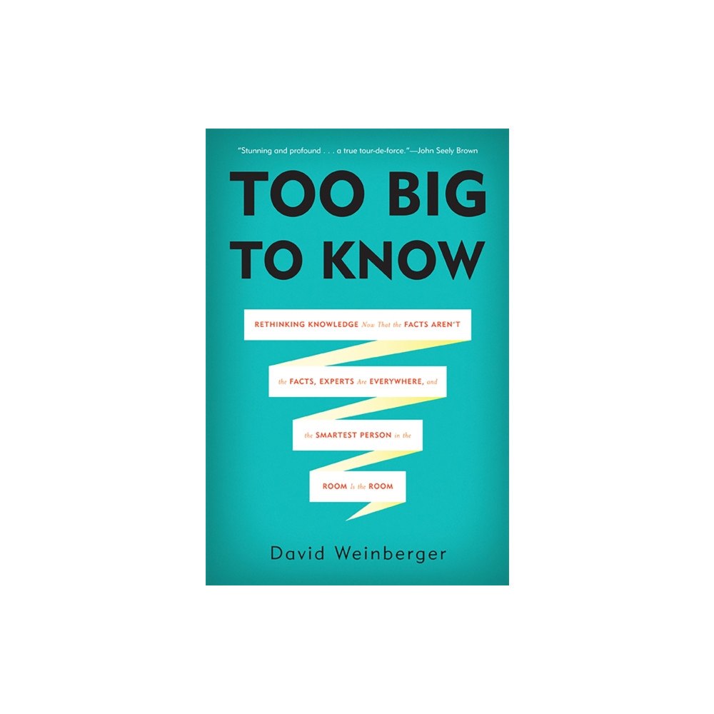 Basic Books Too Big to Know (häftad, eng)