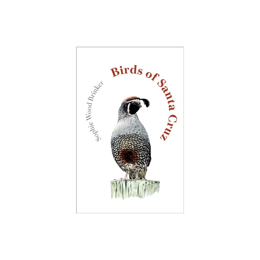 Heyday Books Birds of Santa Cruz (inbunden, eng)