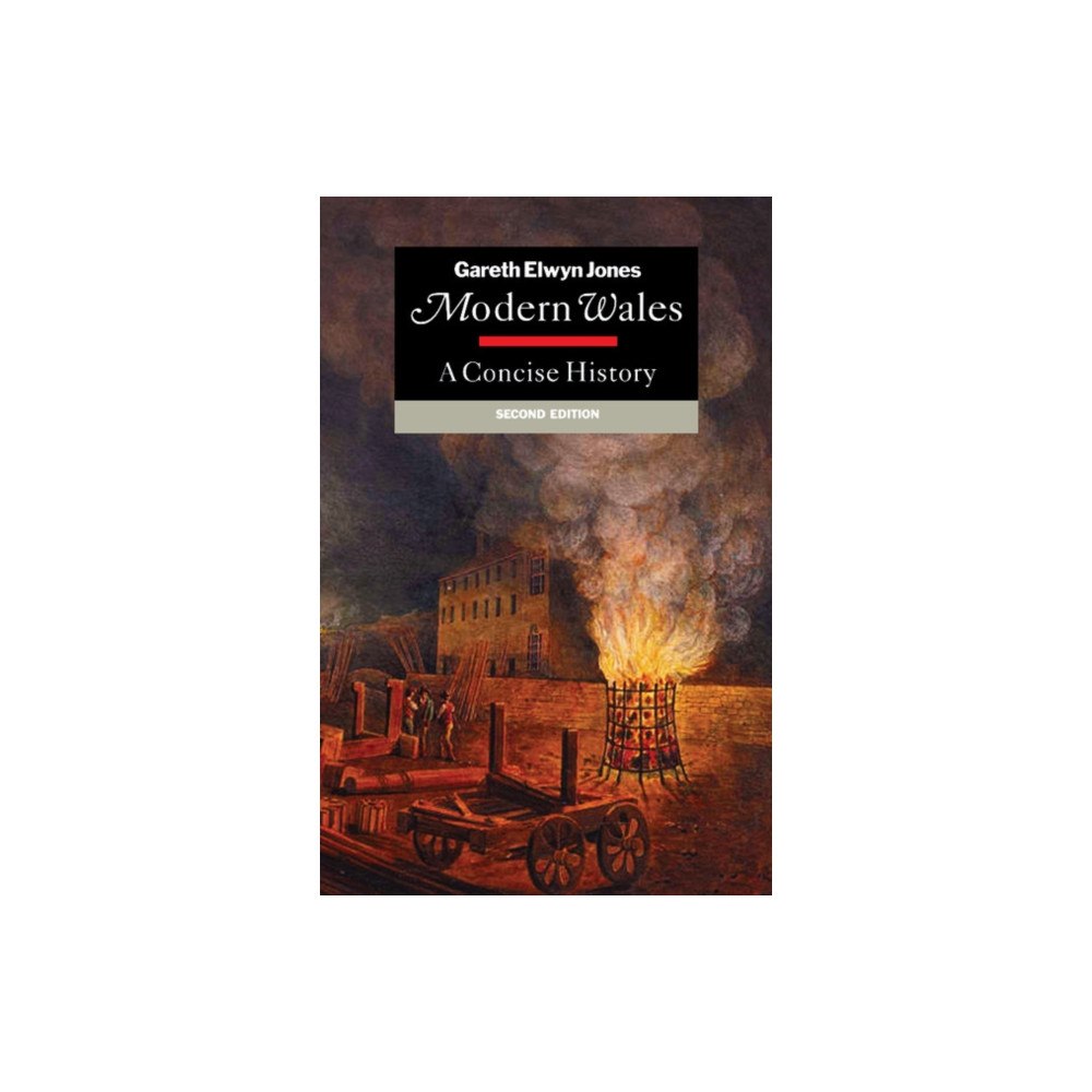 Cambridge University Press Modern Wales (häftad, eng)