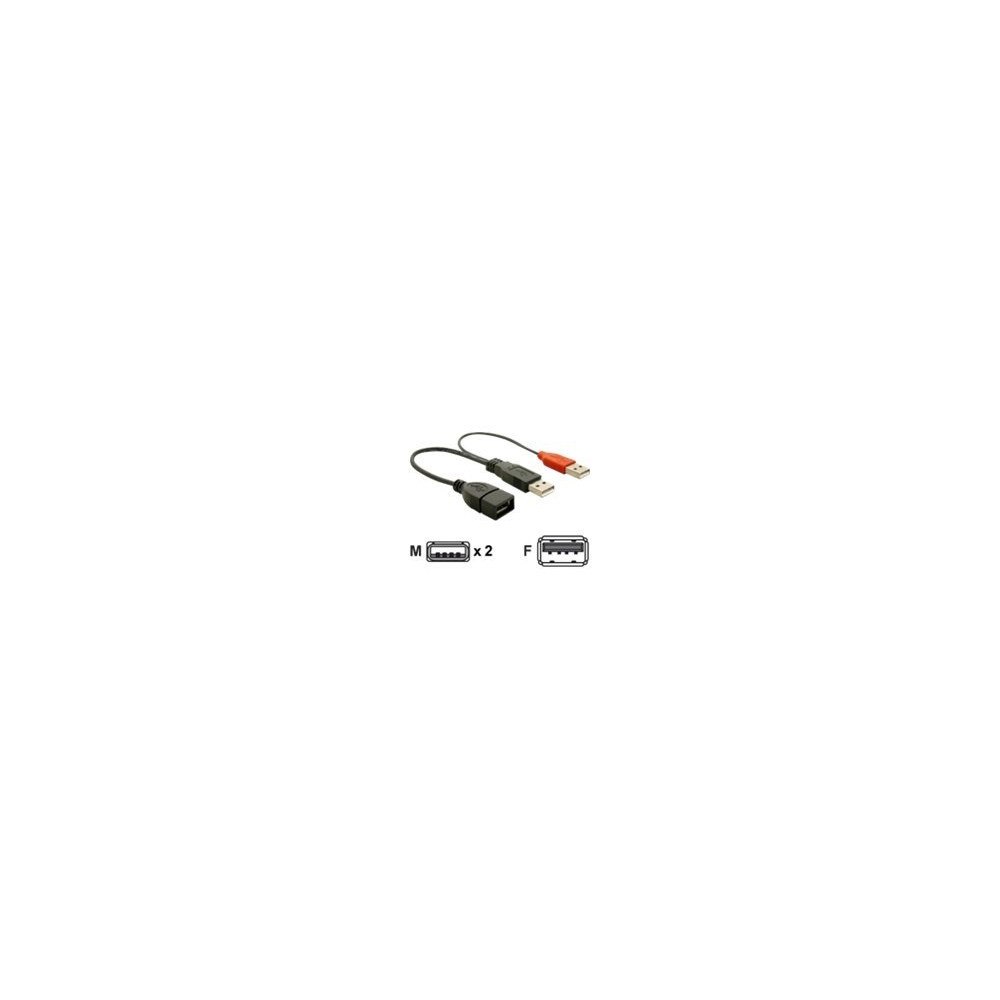 DeLOCK Delock - USB-kabel - 23 cm