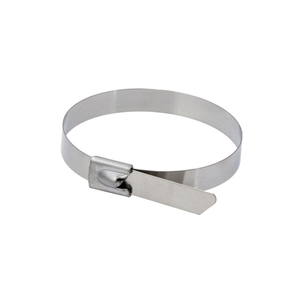 Dedra Dedra rostfria buntband SS304 4,6 x 200 mm – 5 st (11NB4200)
