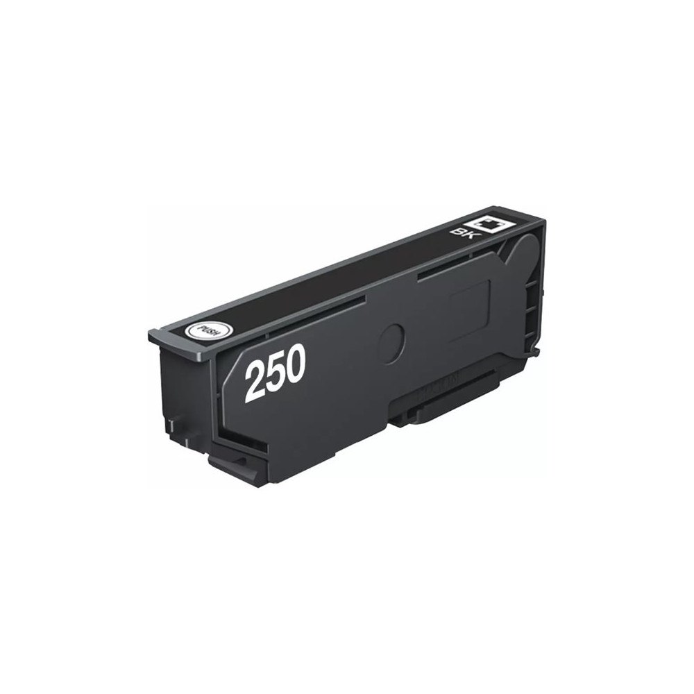 EPSON Epson 250 - svart - original - bläckpatron