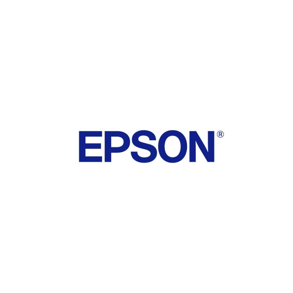 EPSON Epson 250 - cyan - original - bläckpatron