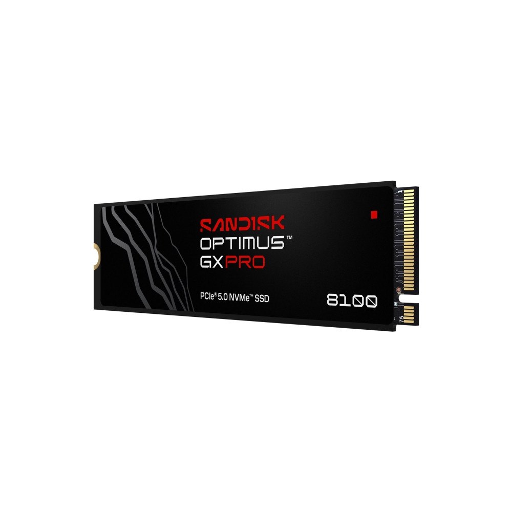 SANDISK SanDisk Optimus GX PRO 8100