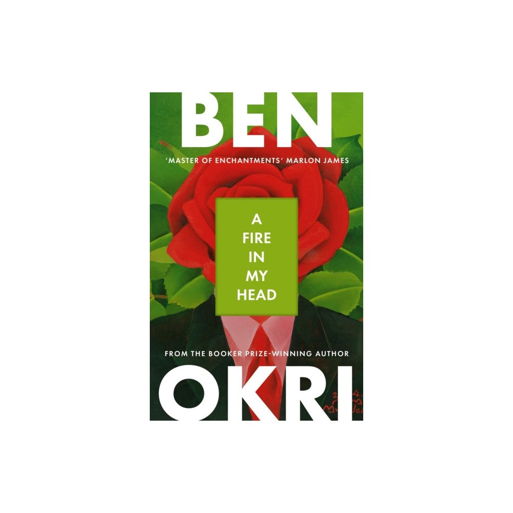 Bloomsbury Publishing PLC A Fire in My Head (häftad, eng)